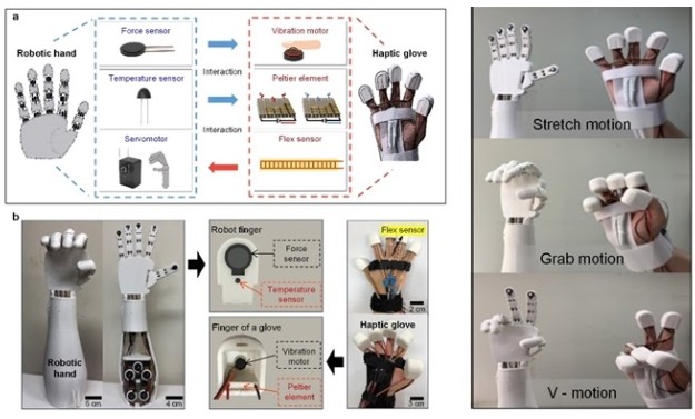 Representative figure