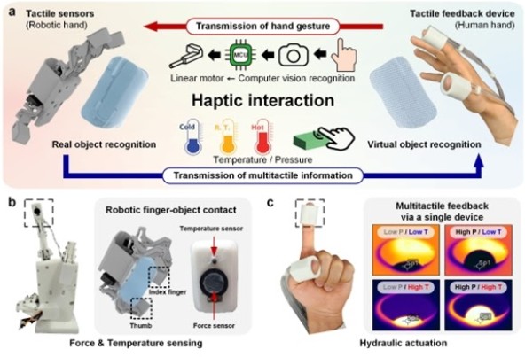 Representative figure