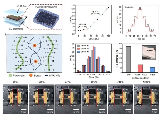 Representative figure